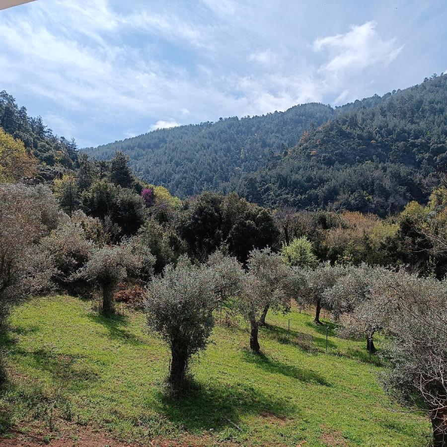 Evergreen Thassos สกาลา โปเตมิอัส ภายนอก รูปภาพ